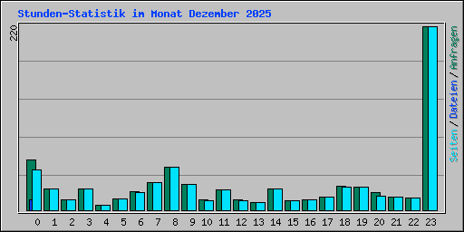 Stunden-Statistik im Monat Dezember 2025