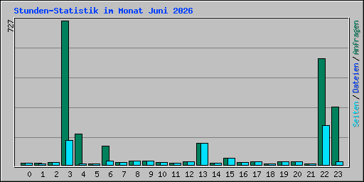 Stunden-Statistik im Monat Juni 2026