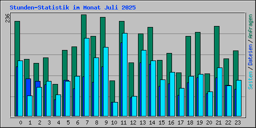 Stunden-Statistik im Monat Juli 2025