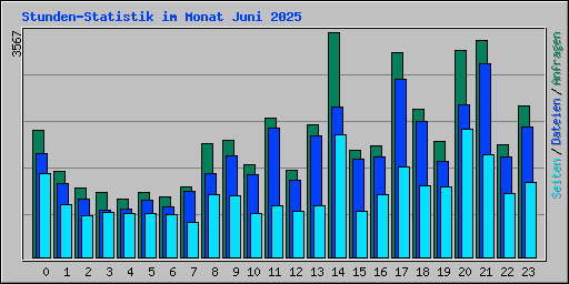 Stunden-Statistik im Monat Juni 2025