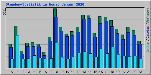 Stunden-Statistik im Monat Januar 2026