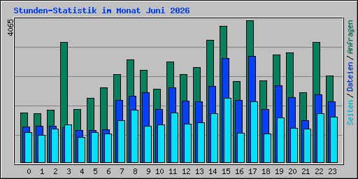Stunden-Statistik im Monat Juni 2026