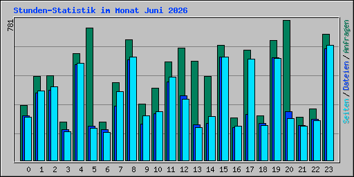 Stunden-Statistik im Monat Juni 2026